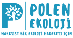 Polen Ekoloji Enstitüsü