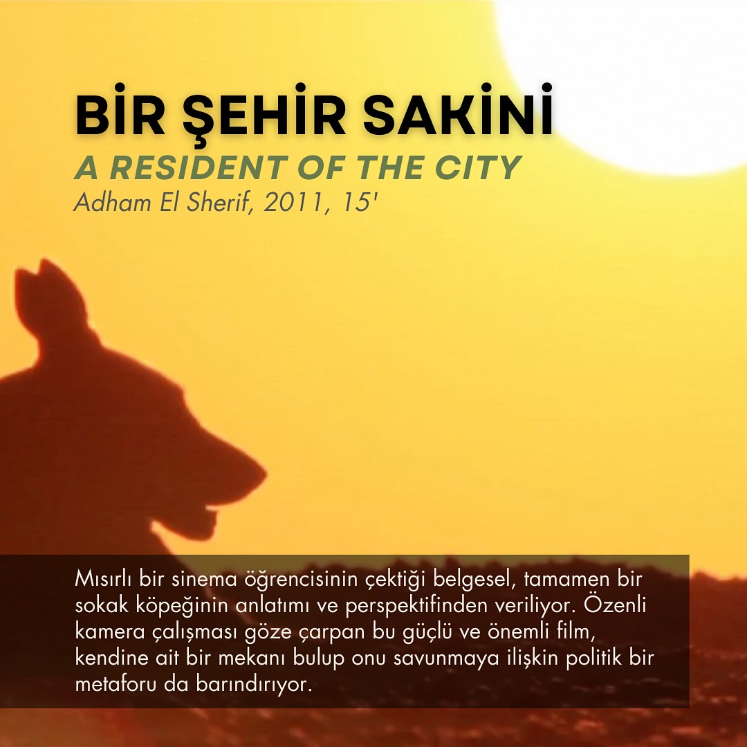 Bir Şehir Sakini Belgesel Gösterimi