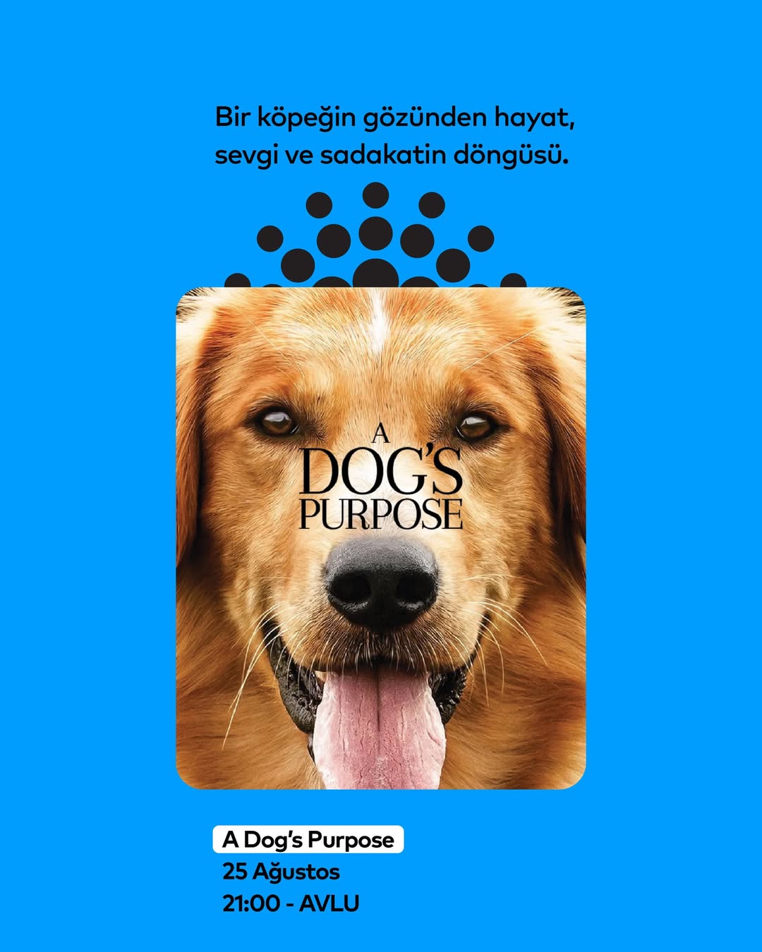 Açık Hava Sineması