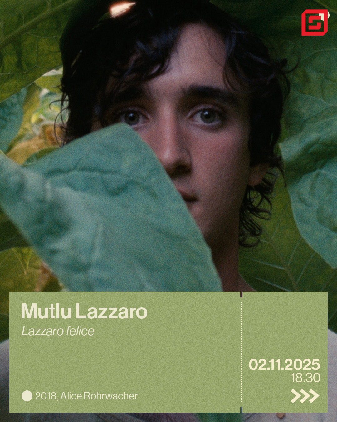 Mutlu Lazzaro