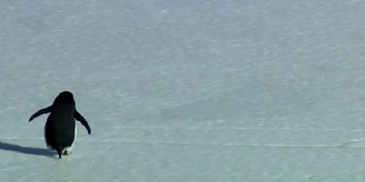 Bizim Çiftlikten Taze, Organik bir Bilinç Akışı…